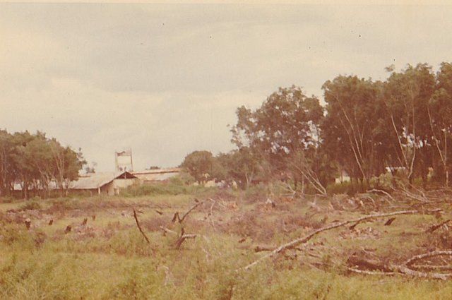 Buildings in the distance